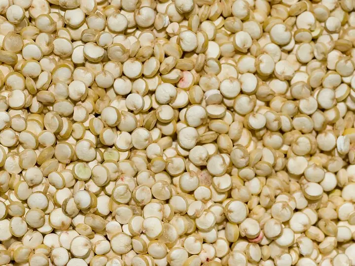 Komosa ryżowa (quinoa)