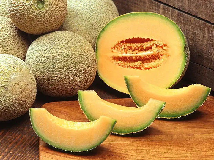 Melon kantalupa