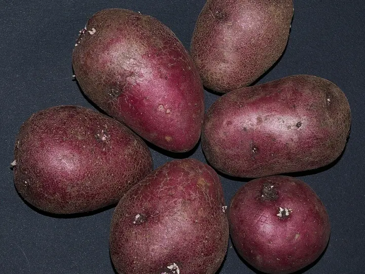 Ziemniaki